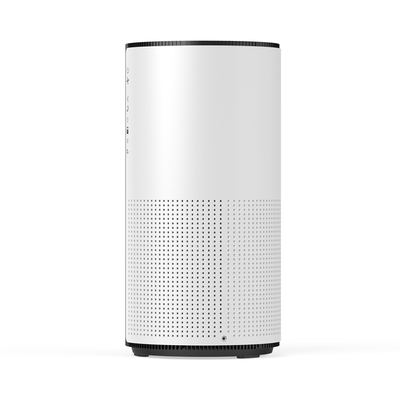 Portable Indoor Room Air Purifier True Hepa Filter for Bacteria and Viruses