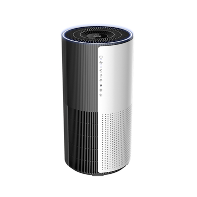 Portable Indoor Room Air Purifier True Hepa Filter for Bacteria and Viruses