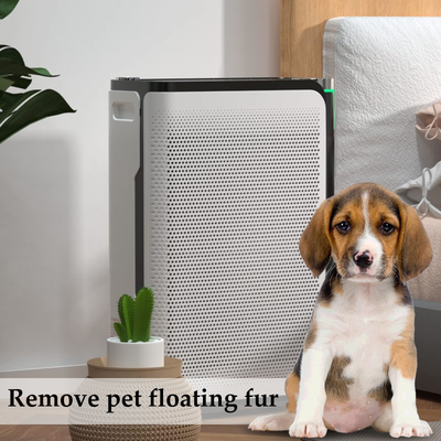 White Color Pet Air Purifier For Clean Home ABS Plastic