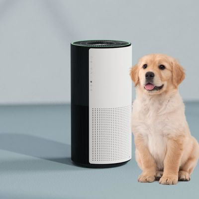 Smart WiFi Control A06 UV Pet Air Purifier Adsorption Floating Hair