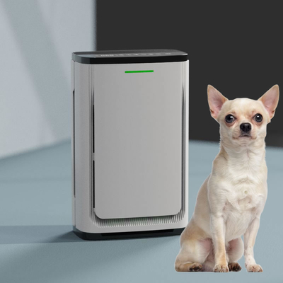 Home Appliances True Hepa Filter Pet Air Purifier For Removal Odors