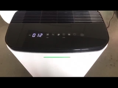 Y24B TESTING
